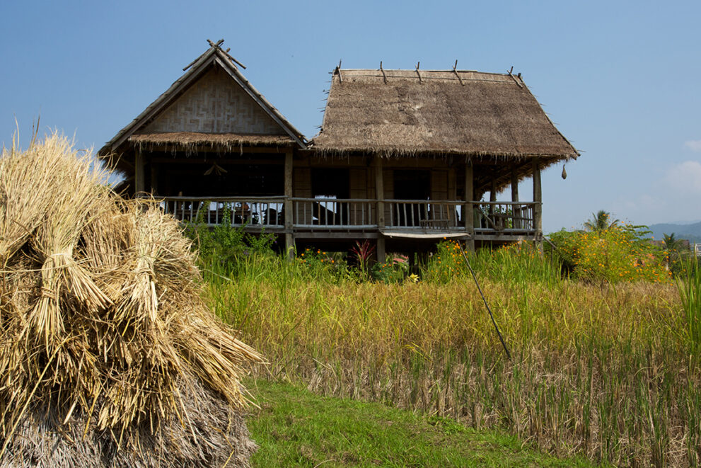 Living Land Farm