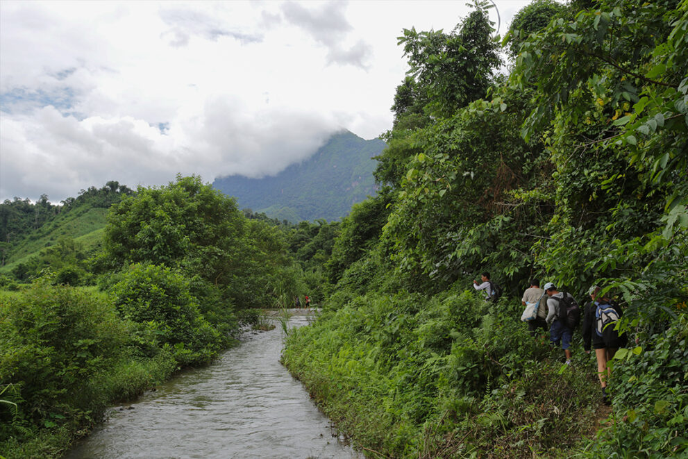 Hiking