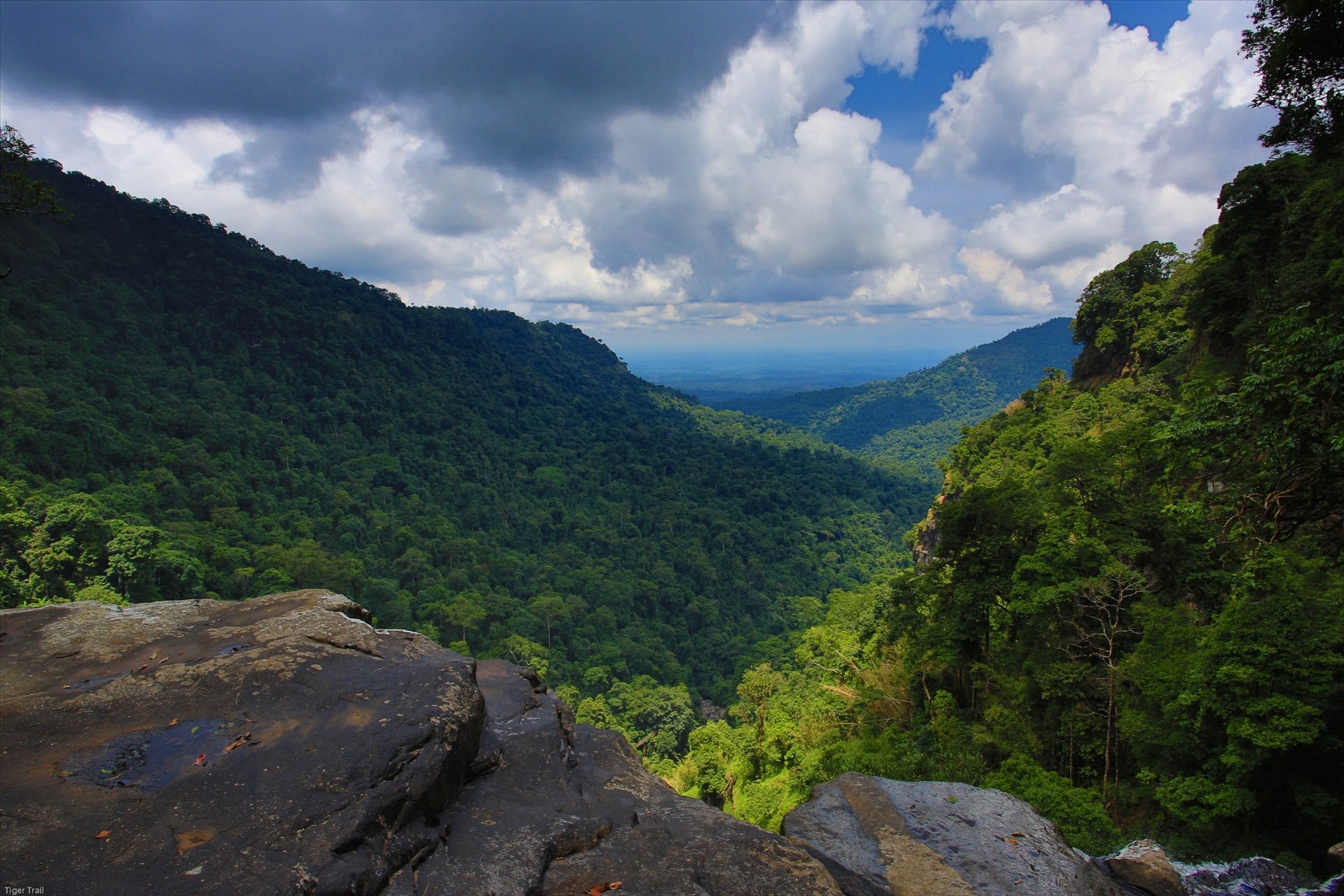 Bolaven Plateau