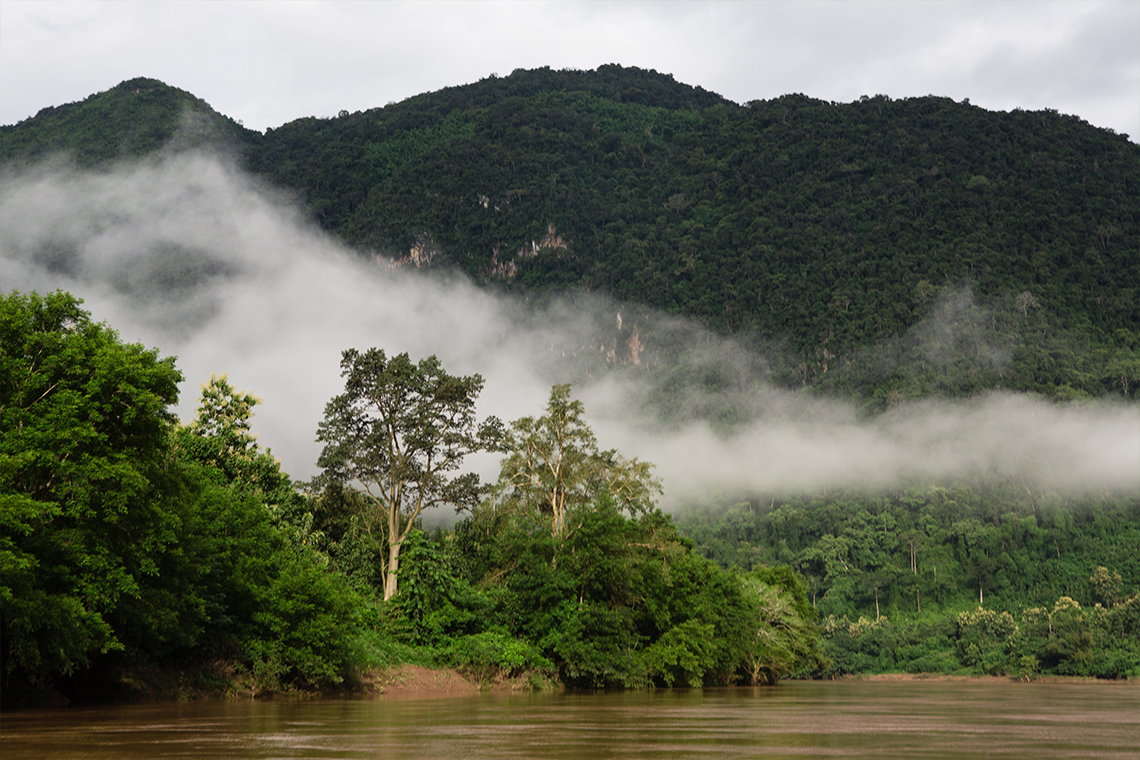 Nong Kiaw Landscape